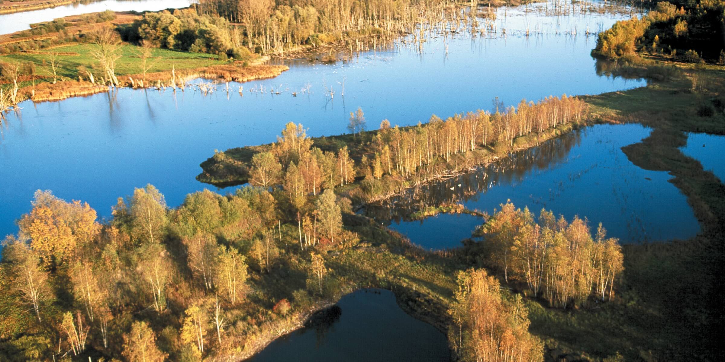 Die Sumpfe Von Harchies Hensies Pommeroeul Les Auberges De Jeunesse