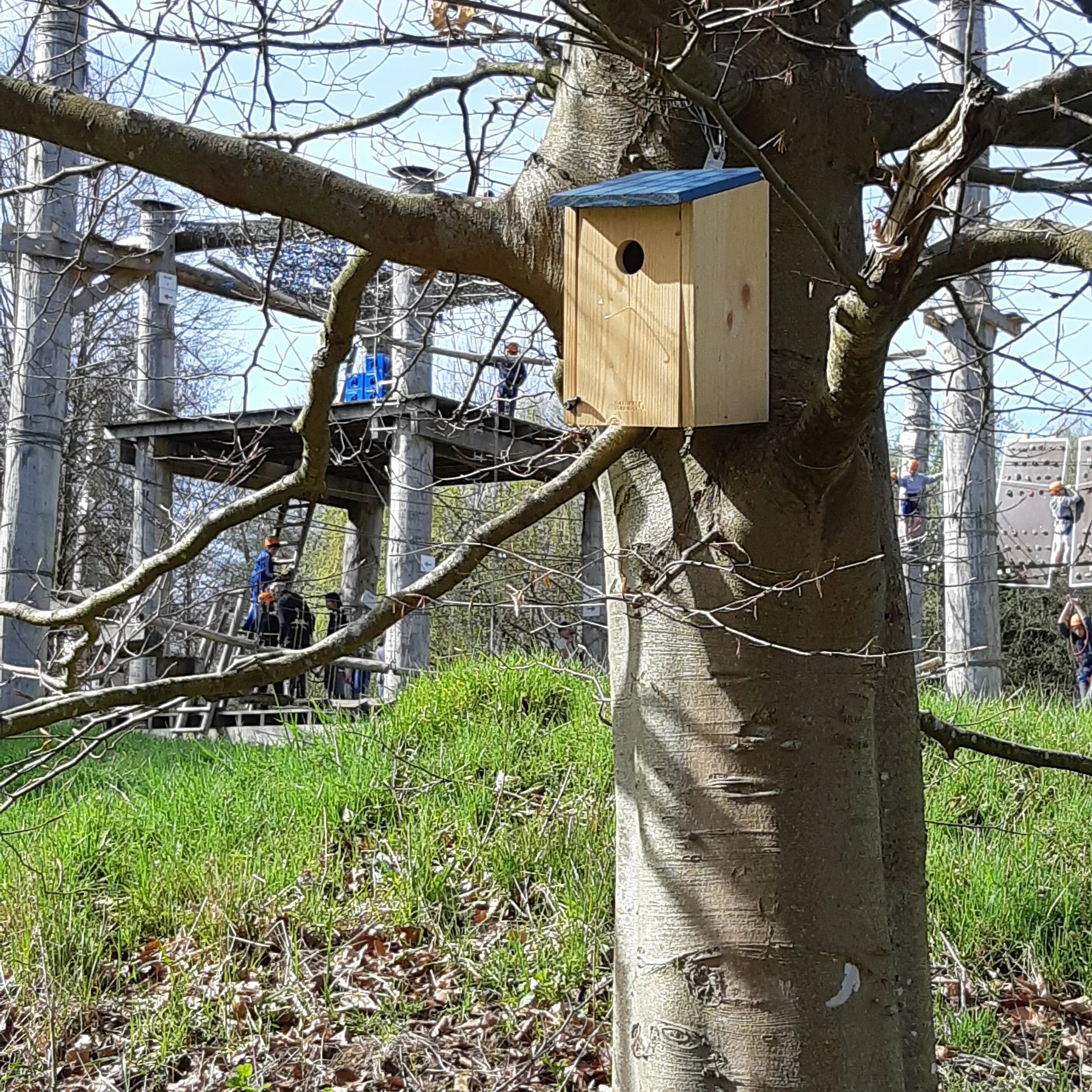 20260409 1105241 edited 1