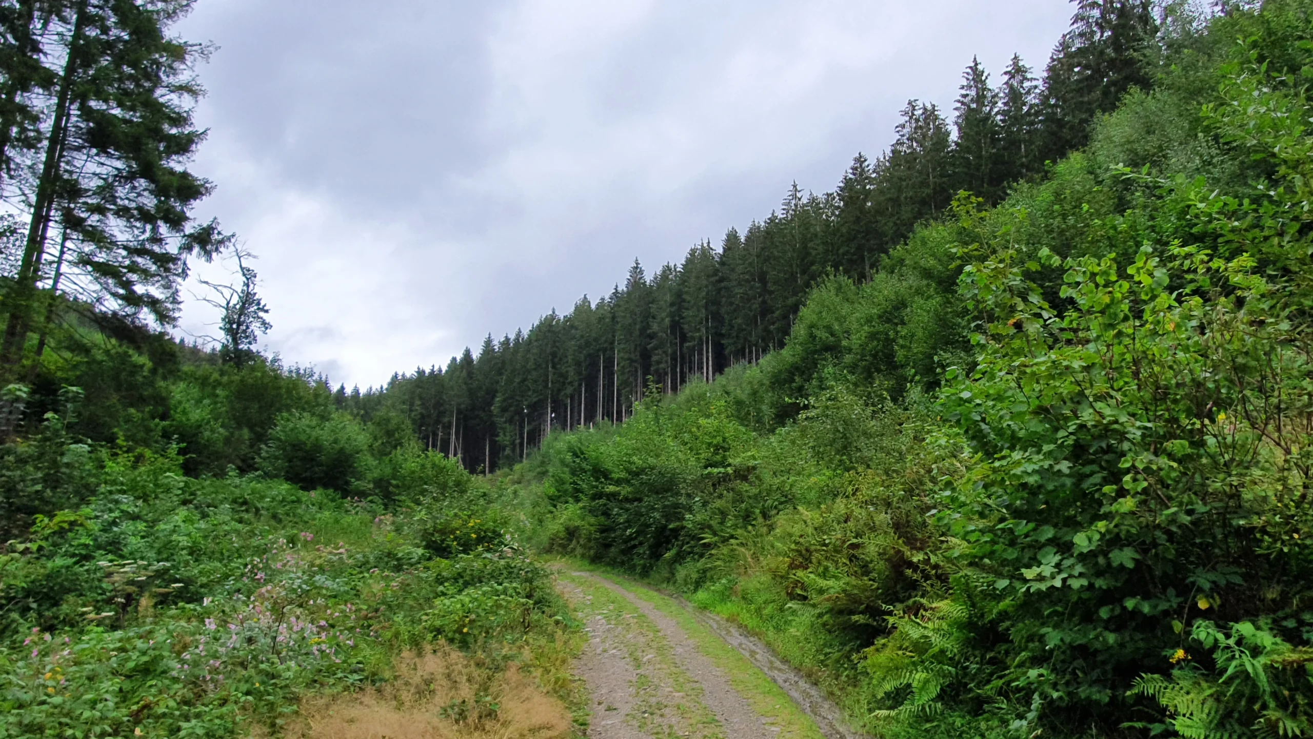 Séjour à La Roche-Champlon