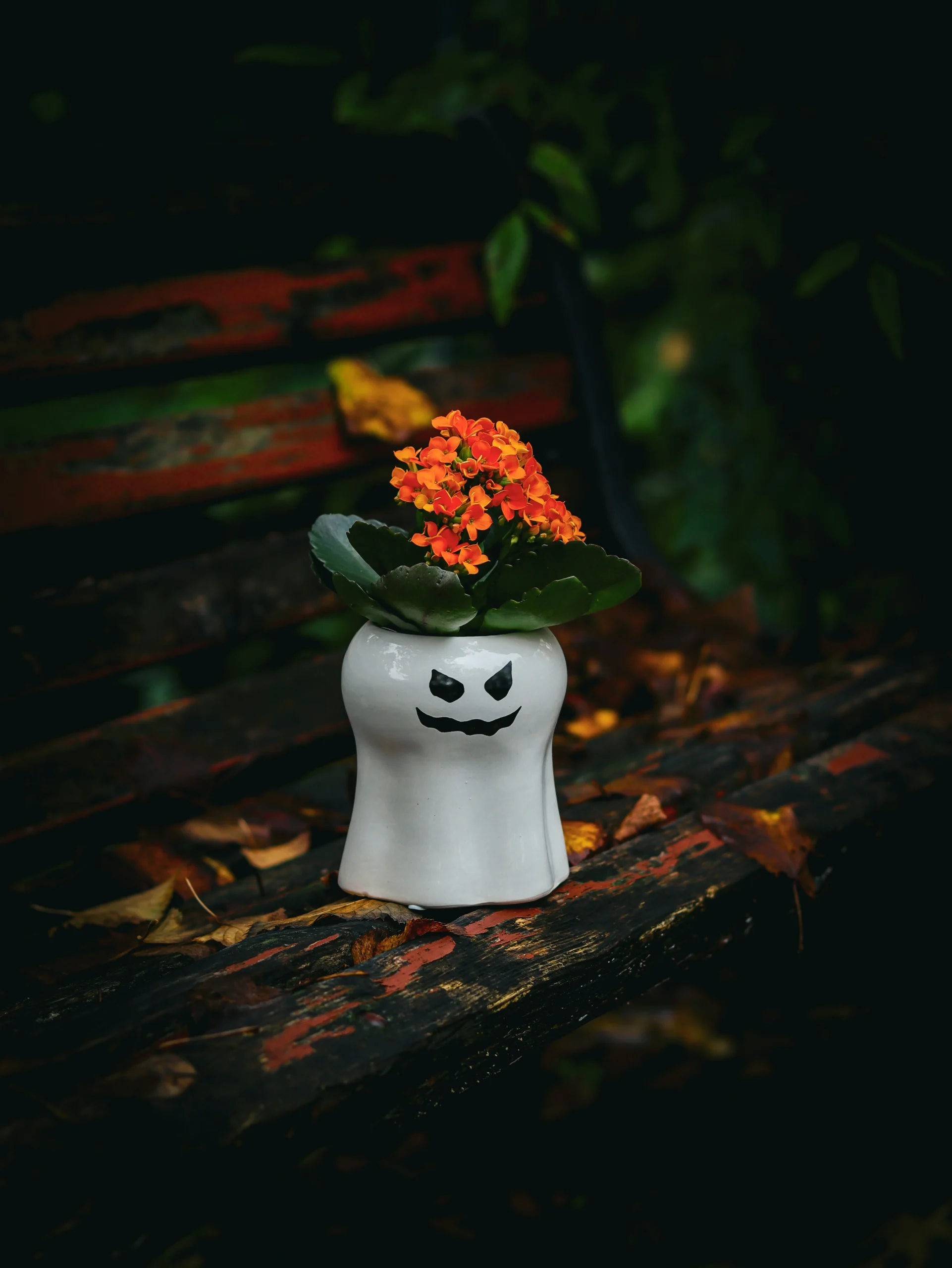 đ”ïž Art floral Halloween pour enfants 1 faezeh taheri GYtQa5 89s0 unsplash scaled
